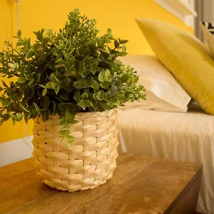 Bed and breakfast Intendente 1865 ***