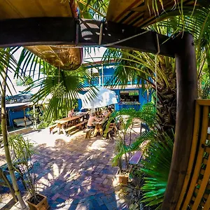 book here